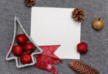 Invia cartoline di Natale con stupende animazioni partendo da una vostra foto Invia cartoline di Natale con stupende animazioni partendo da una vostra foto