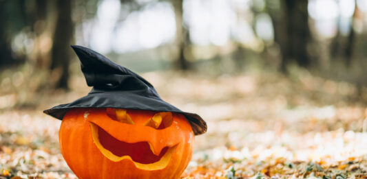 Google festeggia Halloween con un logo Video Google festeggia Halloween con un logo Video
