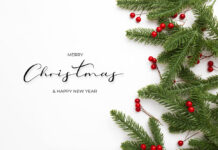 Invia gli Auguri di Natale online con Cartoline Animate bellissime