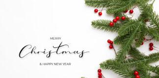 Invia gli Auguri di Natale online con Cartoline Animate bellissime Invia gli Auguri di Natale online con Cartoline Animate bellissime