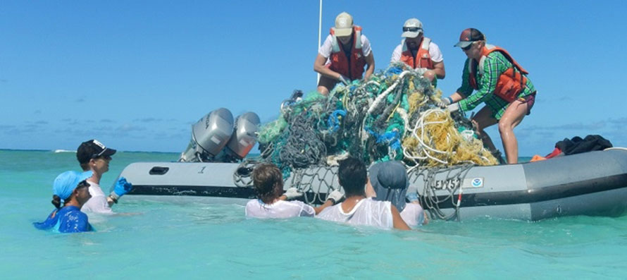 Le materie plastiche devono cambiare per proteggere la vita marina?